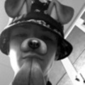 DJskylegend