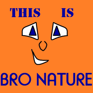 Bro Nature