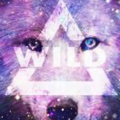 DJwildstar