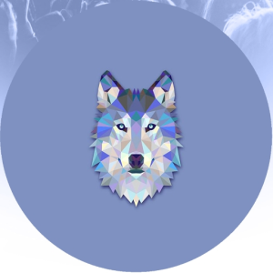 DjWolfSing