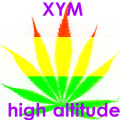 XYM