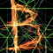 biofilm