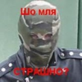 dmitry_medved