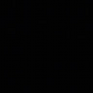 dmsdms