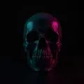 DNIIHUNTER