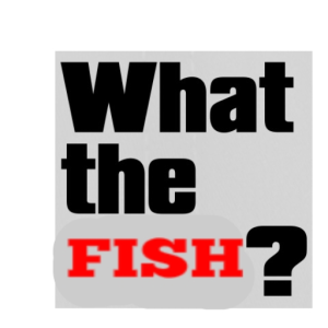 DoctorFish