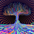 Doctorspacebass