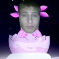 Dodecaendr
