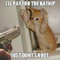 dog_terminator_cat_gmail_com