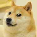 Doge900