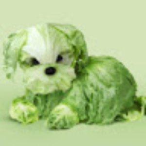 doglettuce