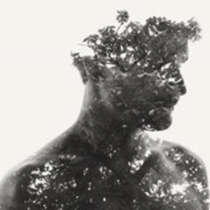 don_murphree