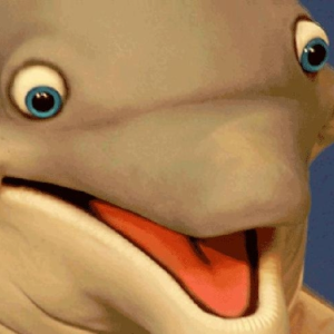 Donfuy