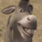 donkey