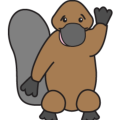 platypusdrummer1