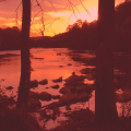 Guadalupe Scott-Heron