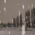 douaudsarah_gmail_com