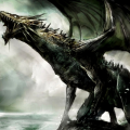 DragonNation6776