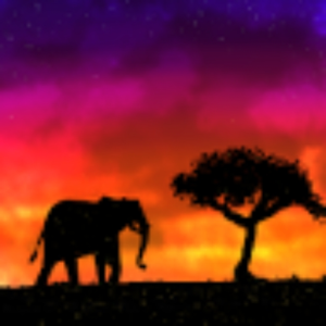 VoiceoftheWilds