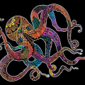 Uji Octopus