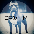 Drom