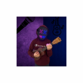 DRSHADOW