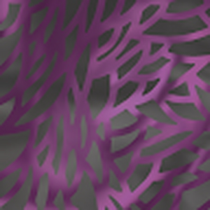 DrVoid