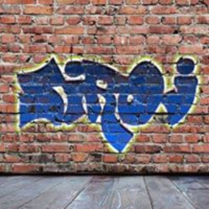 dsssgner