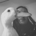 DuckGhetto