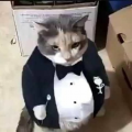DumbassStats07