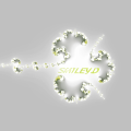 SmileyD