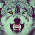 WoleF