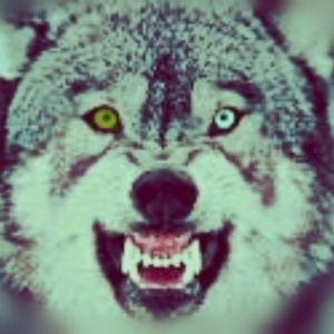 WoleF