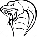 Cobra
