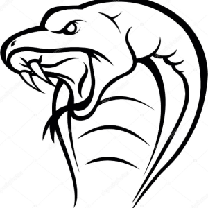 Cobra