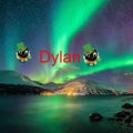 dylan_collins
