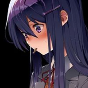 Echo_12D