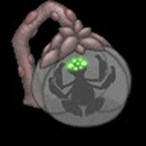 Echoesvoid