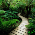 EddYS