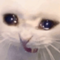 EdmNoob