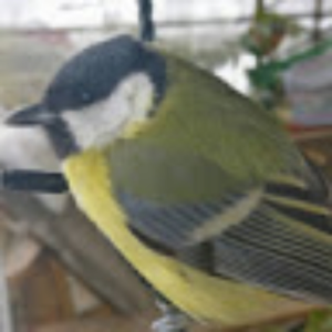 edoardo721_gmail_com