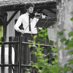 edu_stringsman