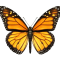 edukey