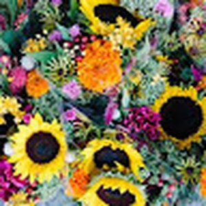 efergo