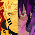 egcriddle1s_capetigers_com