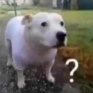 Egg673