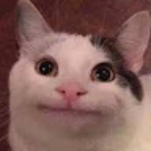 eggdogbread_gmail_com