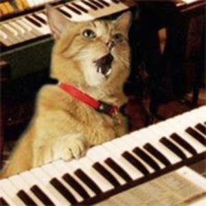 egofunk