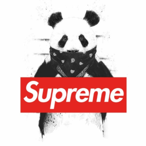 8Ø4PRODUCTION