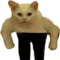 el_trenzo
